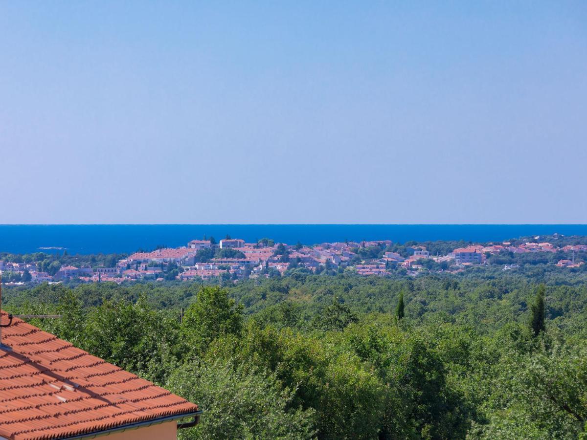 Holiday Home Gracije - Voj515 By Interhome Mednjan Kültér fotó
